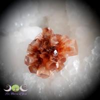 aragonite