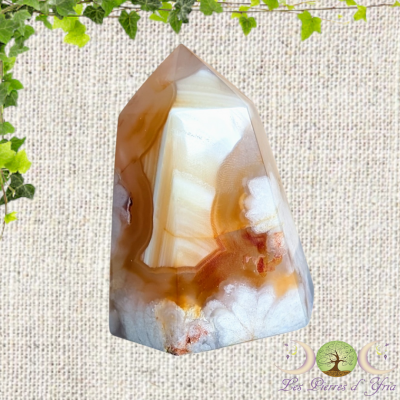 Pointe Agate Fleur #2