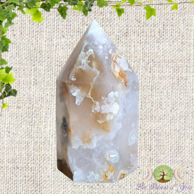Pointe Agate Fleur #3