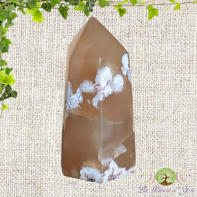 Pointe Agate Fleur #4