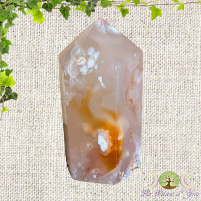 Pointe Agate Fleur #5