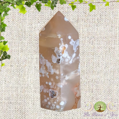 Pointe Agate Fleur #6