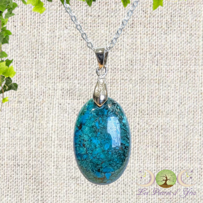 Chrysocolle 1 