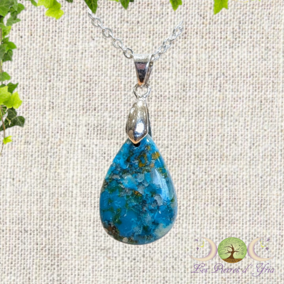 Chrysocolle 2 