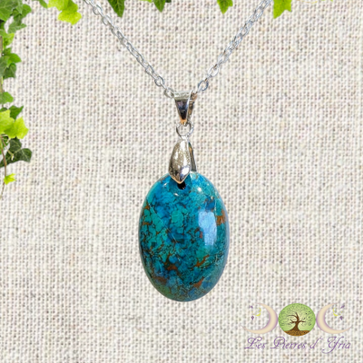 Chrysocolle 3 