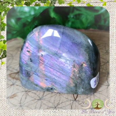 Labradorite [Forme Libre] #11