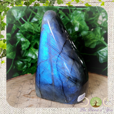 Labradorite [Forme Libre] #14