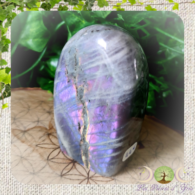 Labradorite [Forme Libre] #15