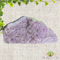 Copie de sans titre 3 2