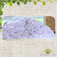 Copie de sans titre 4 2