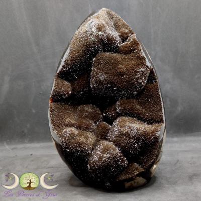 Septaria sauvage #70
