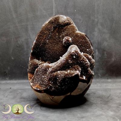 Septaria sauvage #75