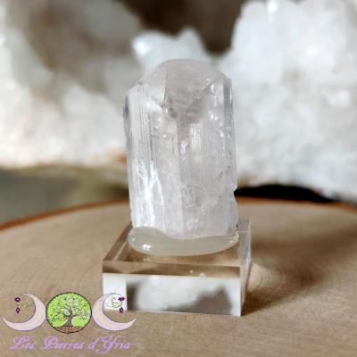 Damburite [cristal naturel]