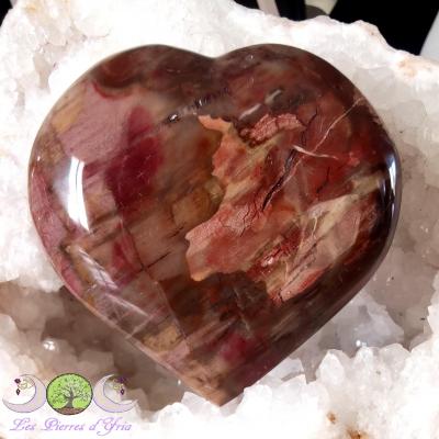 Coeur Bois pétrifié (fossile)