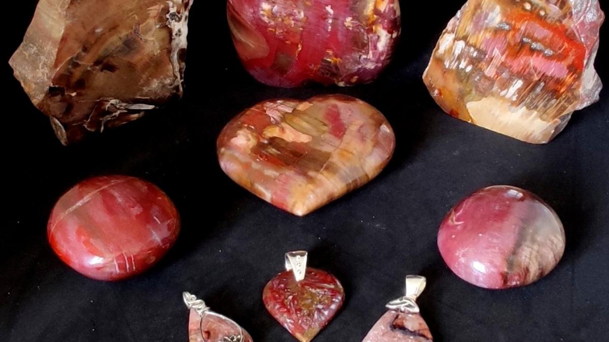 Bois Fossile