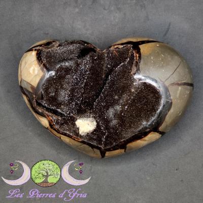 Coeur Septaria sauvage #6
