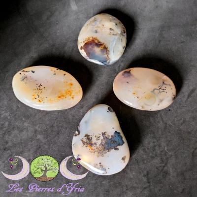Galet Agate dendrite