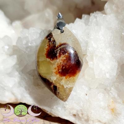 Pendentif Septaria