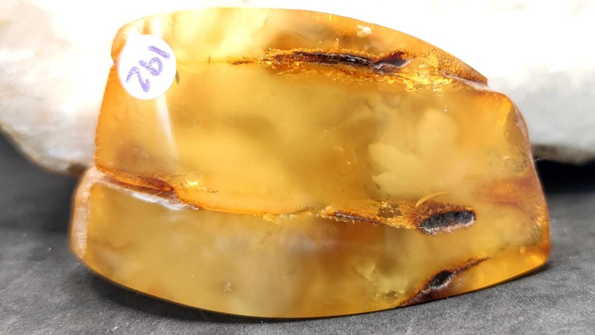 Ambre