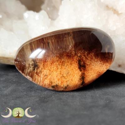 Galet quartz Lodolite #1