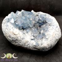 Img 20231108 152109 gf