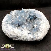 Img 20231108 152134 gf