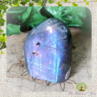 Labradorite [Forme Libre] #16