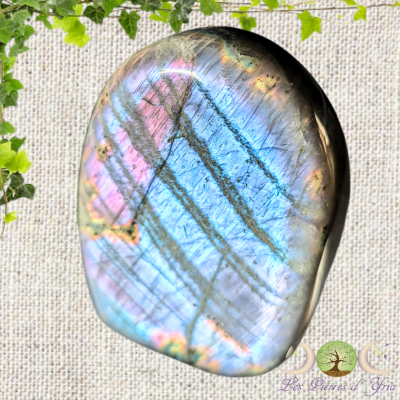 Labradorite [Forme Libre] #21