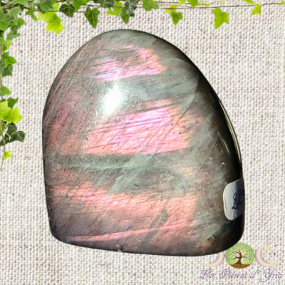 Labradorite [Forme Libre] #26