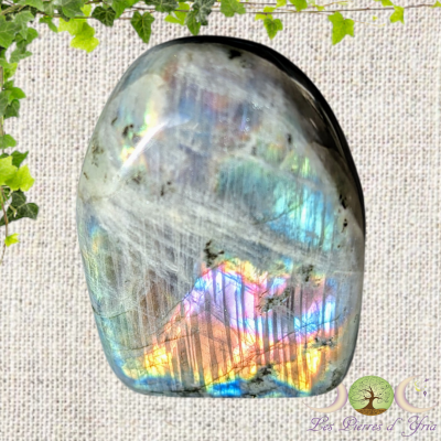 Labradorite [Forme Libre] #25