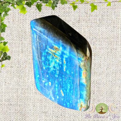 Labradorite [Forme Libre] #24