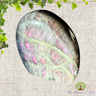 Labradorite [Forme Libre] #23