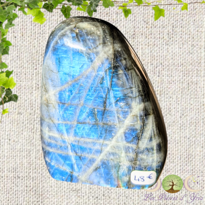 Labradorite [Forme Libre] #22