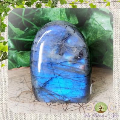 Labradorite [Forme Libre] #18
