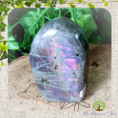 Labradorite [Forme Libre] #19