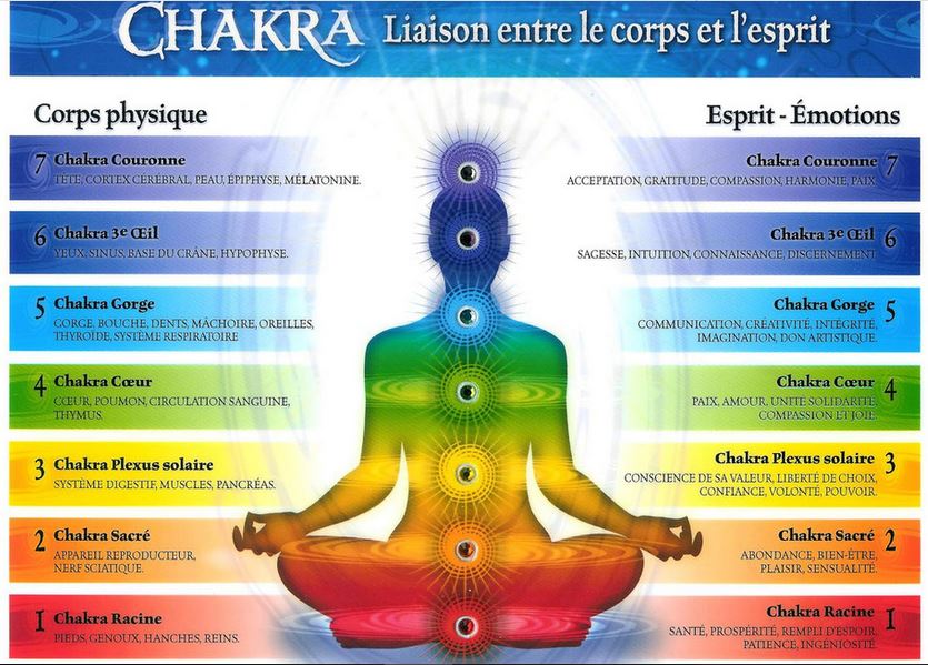 Les 7 chakras