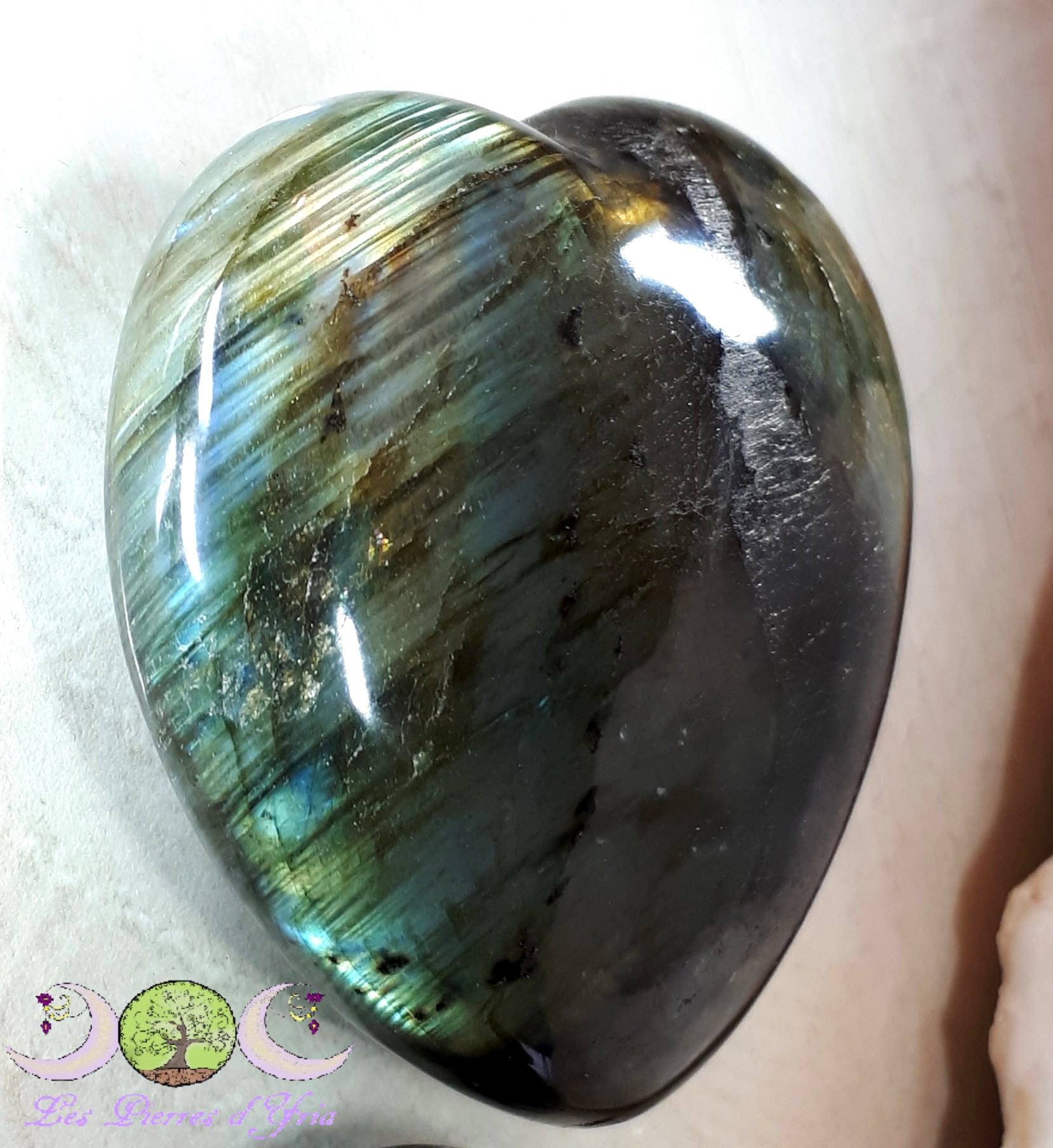 Ref 1 213g 1 gf